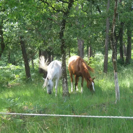 Frühstückspension Angueur