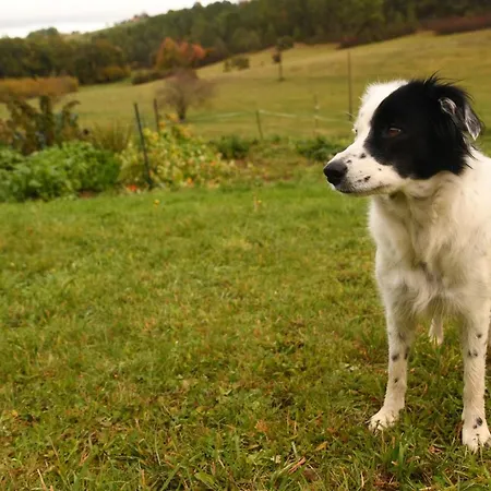 Frühstückspension Angueur Montrem