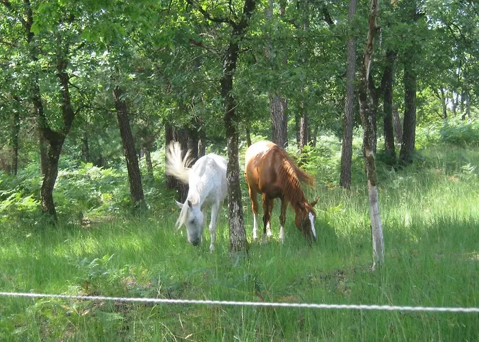 Bed and Breakfast Angueur