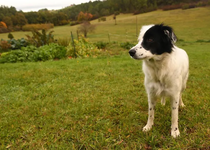 ベッド・アンド・ブレックファスト Angueur Montrem